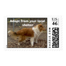 Collie 2 Postage