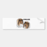 Collie Bumper Sticker