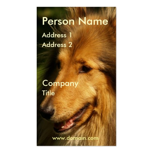 Collie Business Card