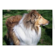 COLLIE-DAY CARD