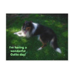 collie-day postcard collie-day postcard