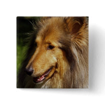 Collie Dog Photograph buttons