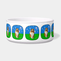 Collie Dog Under the Stars Dog Bowl