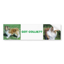 COLLIE, GOT COLLIE?? bumper stickers by minx267 COLLIE, GOT COLLIE?? bumper stickers