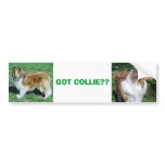 COLLIE, GOT COLLIE?? BUMPER STICKER