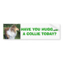 COLLIE, HAVE YOU HUGGED A COLLIE TODAY? bumper stickers