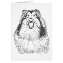 Collie Head Study Art cards