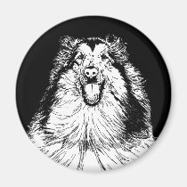 Collie Head Study Art magnets