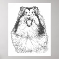 Collie Head Study Art posters