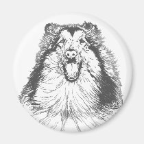 Collie Head Study Art magnets