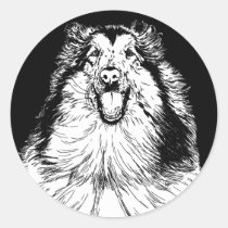 Collie Head Study Art stickers