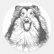 Collie Head Study Art stickers
