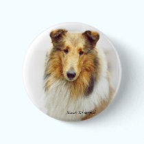Collie Head Study in Color buttons