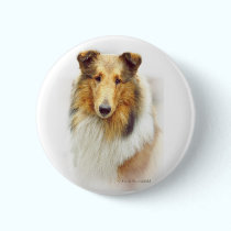 Collie Head Study in Color buttons