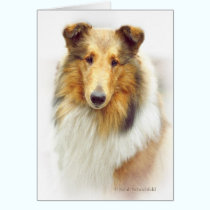 Collie Head Study in Color cards