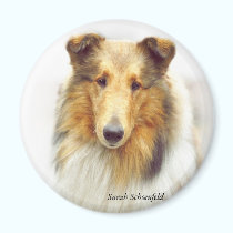Collie Head Study in Color magnets