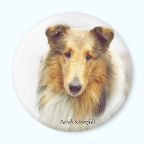 Collie Head Study in Color magnets