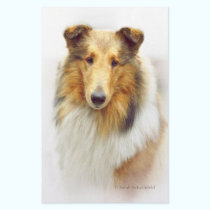 Collie Head Study in Color stationery