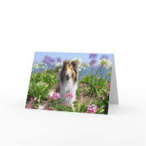 Collie in Flowers Card