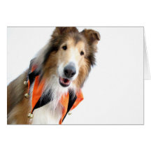 Collie in Jester Collar Cards
