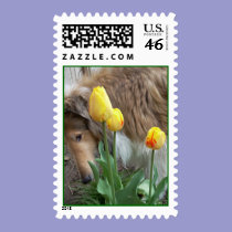 Collie in spring stamps