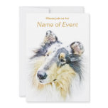 COLLIE ANNOUNCEMENT