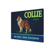 Collie Lemon LabelSan Dimas, CA Stretched Canvas Print