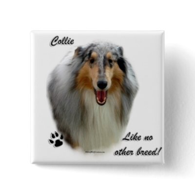 Collie Like No Other Breed buttons