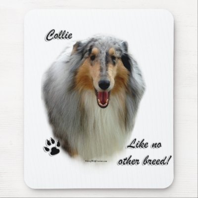 Collie Like No Other Breed mousepads