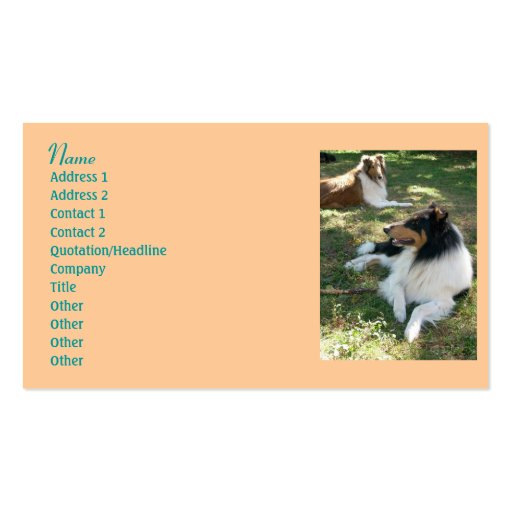 Collie Lovers Business Cards 2