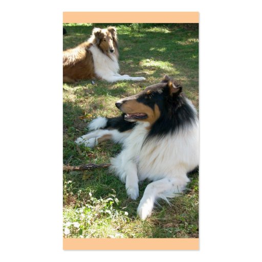 Collie Lovers Business Cards 2 (back side)