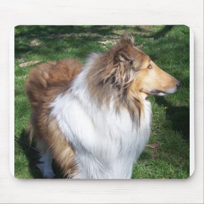 COLLIE Mousepad by minx267