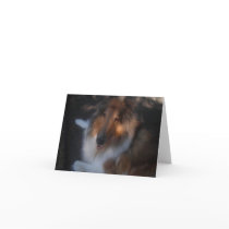 Collie note card