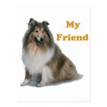 Collie Post Card