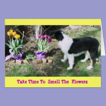 Collie Pup/Tulips Take Time 2 Smell The  Flowers cards