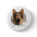 Collie (Rough Coat) Busting Out button