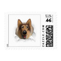 Collie (Rough Coat) Busting Out - Customized stamp
