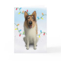Collie (Rough Coat) Christmas card