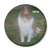 COLLIE SMILE! magnets