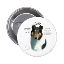 Collie (tri smooth) History Design Pinback Button