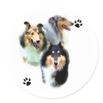 Collie Trio - Sticker