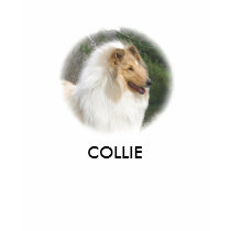 COLLIE t-shirts