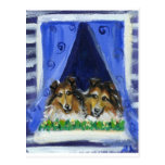 Collie window post card