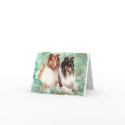 Collies cards by foxbrush Collies cards