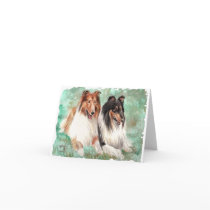 Collies cards