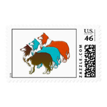 Collies in Confirmation Posage Stamp