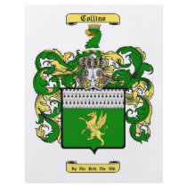 collins (english) custom flyer