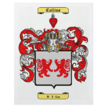 collins (irish) flyers