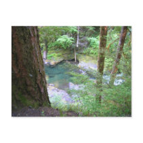 Collowash River postcards