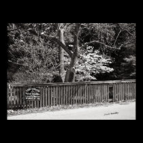 Collville Street, McMinnville Tennessee posters